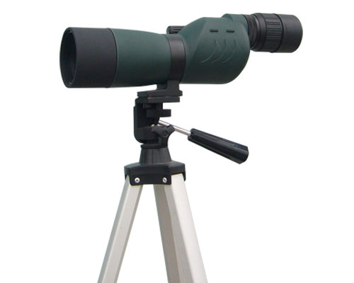 ����Ŵ�鿴