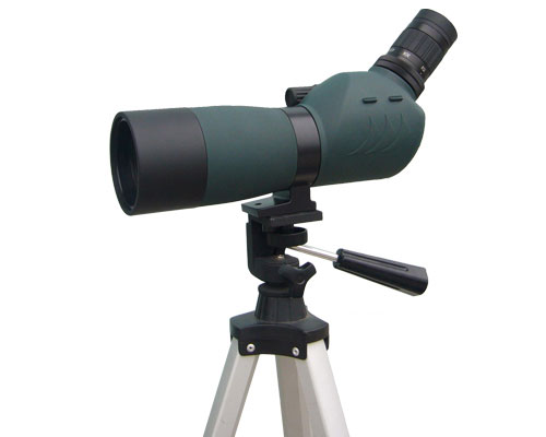 ����Ŵ�鿴