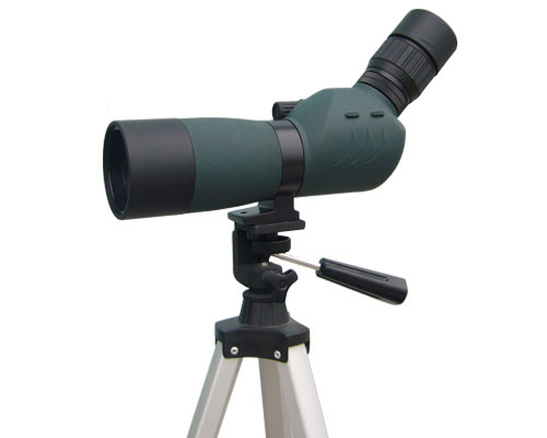 ����Ŵ�鿴