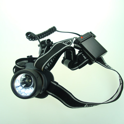 ����Ŵ�鿴